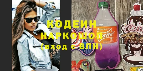 СК Каменка
