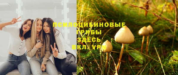не бодяженный Каменногорск