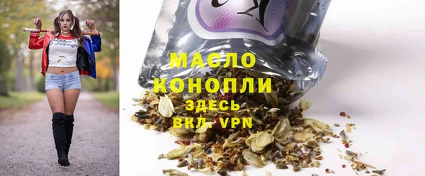 СК Каменка
