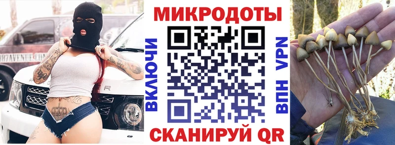 Купить  Еманжелинск  Псилоцибиновые грибы MAGIC MUSHROOMS 